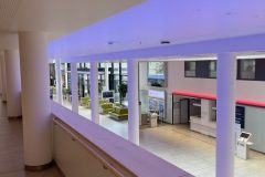 e8a9f129-6f19-49e4-a221-9437d78ff873-min-1-scaled